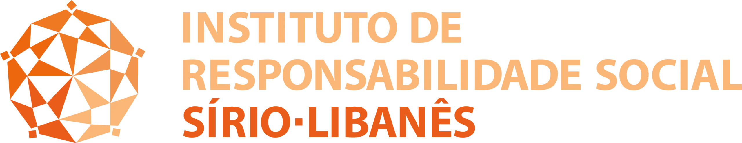 logo-irssl-colorido